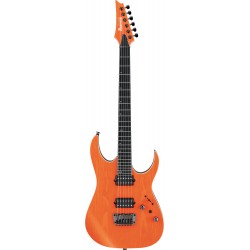IBANEZ RG-Series E-Gitarre...
