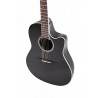 Ovation Celebrity Black CS24-5-G